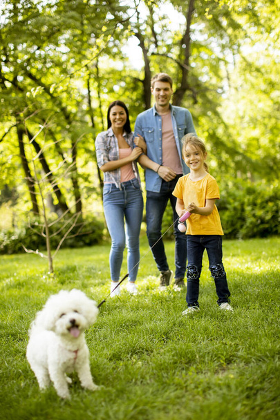 Happy young family with cute bichon dog in the park - Photo, Image