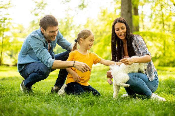 Krásná šťastná rodina se baví s bišonským psem venku v parku - Fotografie, Obrázek