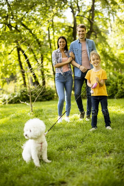 Ευτυχισμένη νεαρή οικογένεια με χαριτωμένο bichon σκυλί στο πάρκο - Φωτογραφία, εικόνα