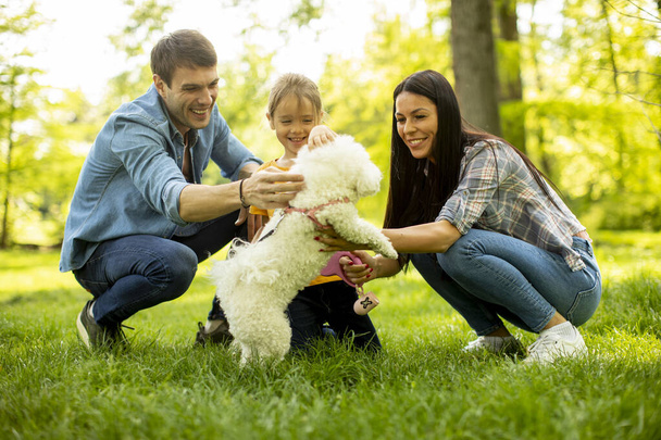 Beautiful happy family is having fun with bichon dog outdoors in the park - Foto, imagen