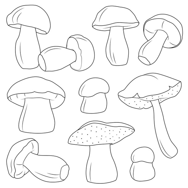mushrooms vector set black and white vector illustration - Vetor, Imagem