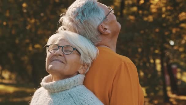 Miłość i romans na starość. Emeryci cieszą się jesiennym dniem w lesie, trzymając się z tyłu i uśmiechając - Materiał filmowy, wideo