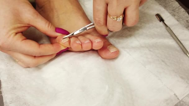 Una ragazza a casa fa una pedicure, lucida le unghie dei piedi con una speciale levigatrice, manicure hardware. - Filmati, video