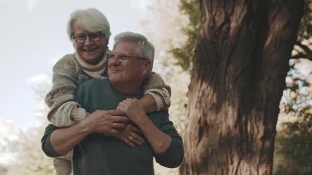 Gelukkig oud stel knuffelend in het park. Senior man flirt met oudere vrouw. Romantiek op hoge leeftijd dansen op herfstdag - Video
