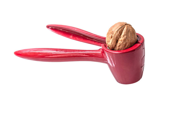Pähkinänsärkijä pähkinä sisällä eristetty valkoinen - Valokuva, kuva