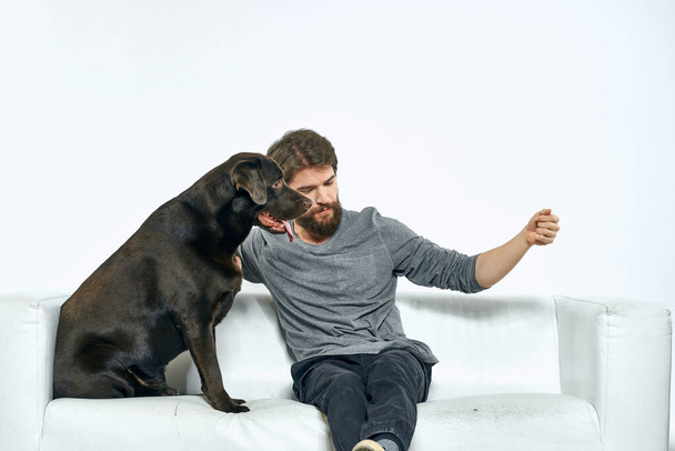 homem com um cão preto em um sofá branco em um fundo leve close-up corte vista pet humano amigo emoções diversão - Foto, Imagem