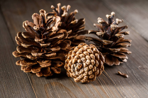 Pine cones on wooden background.Rustic natural wooden background with pine cones - Photo, Image