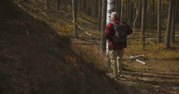 šedovlasý muž kráčí sám v lese na podzim, turistika a batohy v přírodě, zdravý životní styl - Záběry, video