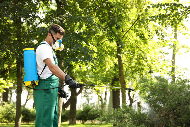 Рабочий распыляет пестициды на зеленый куст на открытом воздухе. Контроль вредителей - Фото, изображение