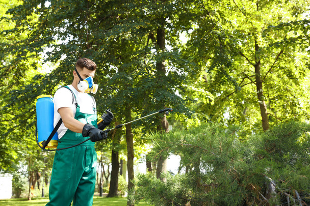 Worker spraying pesticide onto green bush outdoors. Pest control - Fotoğraf, Görsel
