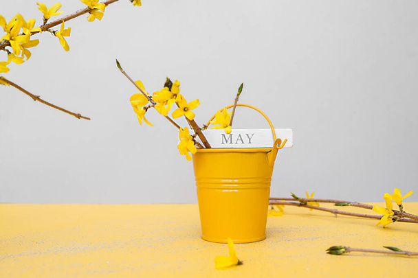 lettering May on a piece of wood on yellow small metal bucket for decoration with a bouquet of yellow spring flowers forsythia on a clean yellow background. perpetual wooden calendar. Month of may - Photo, Image