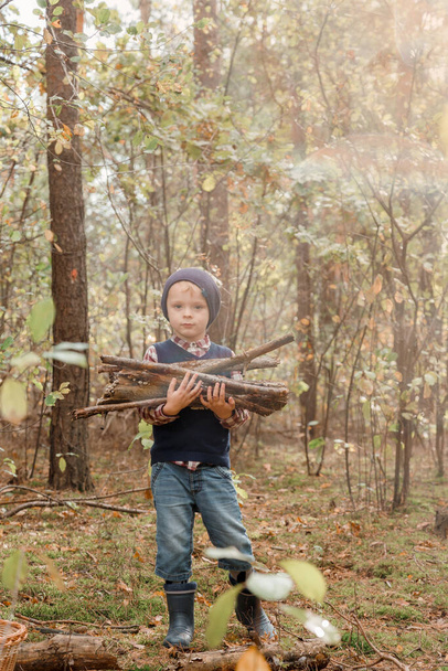 Un niño recoge leña en el bosque. Pequeño leñador. El chico está buscando viejas ramas de árboles. Niño y leña. Tiempo de otoño. - Foto, Imagen