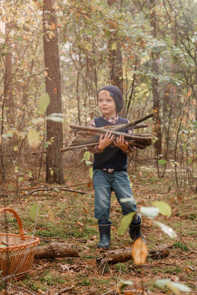 Ένα παιδί μαζεύει καυσόξυλα στο δάσος. Μικρέ ξυλοκόπε. Το αγόρι ψάχνει για παλιά κλαδιά δέντρων. Παιδί και καυσόξυλα. Φθινόπωρο. - Φωτογραφία, εικόνα