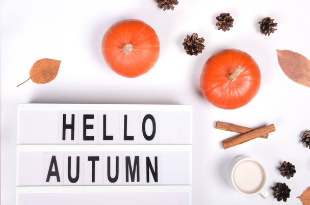 Autumn background with pumpkin , cinnamon and cotton plant - Φωτογραφία, εικόνα