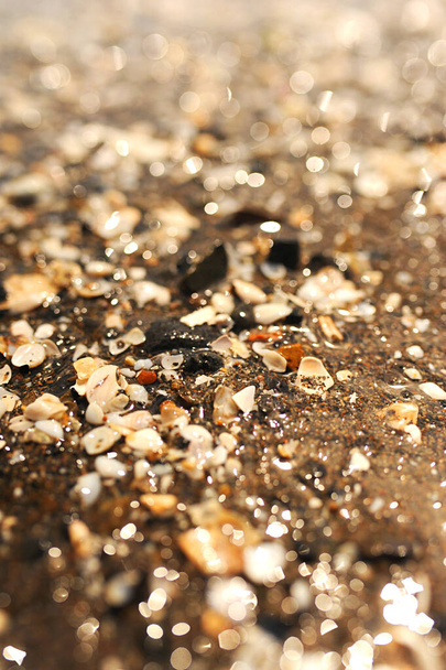 Sandstrand mit kleinen weißen Muscheln und Steinen in der Sonne und Bokeh. Selektiver Fokus - Foto, Bild