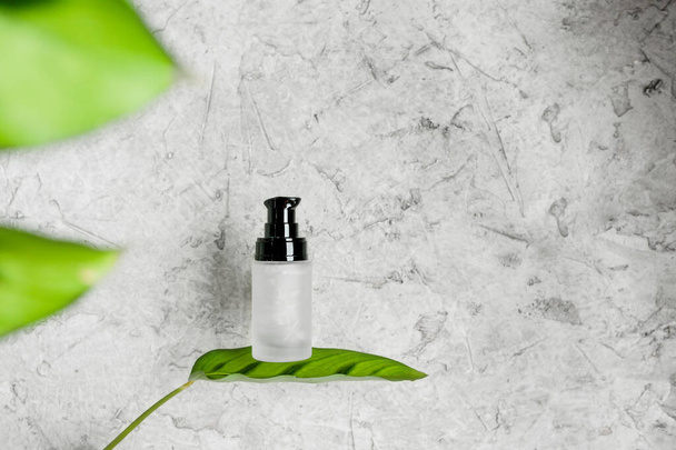 glass jar with gel and black lid-dispenser without inscriptions stands on green leaf of plant on gray concrete background, cosmetic layout - 写真・画像