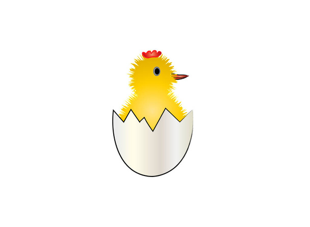 Σχέδιο κίτρινου κοτόπουλου σε κέλυφος αυγού, διανυσματική απεικόνιση - Διάνυσμα, εικόνα