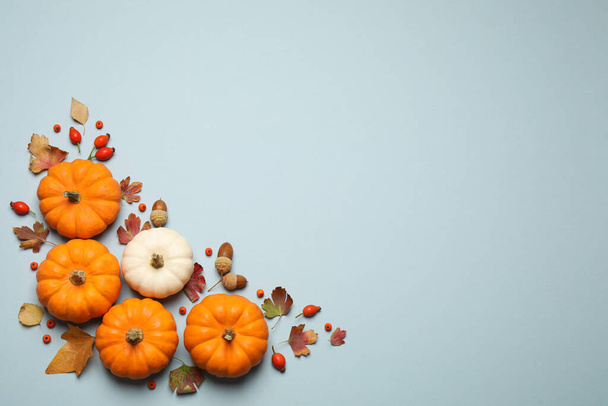 Different pumpkins, autumn leaves, berries and acorns on light blue background, flat lay. Space for text - Φωτογραφία, εικόνα