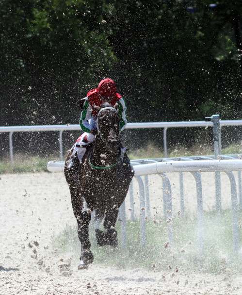 paardenrennen - Foto, afbeelding