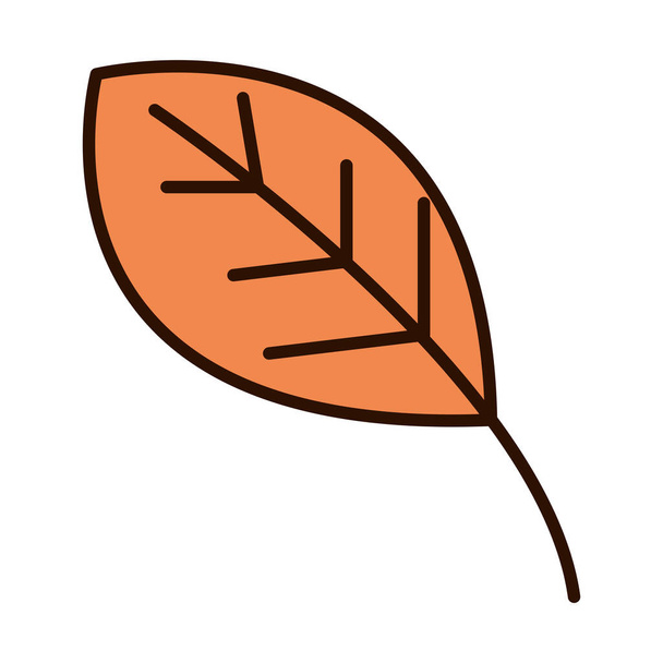 podzimní list listí příroda linka výplň ikona - Vektor, obrázek