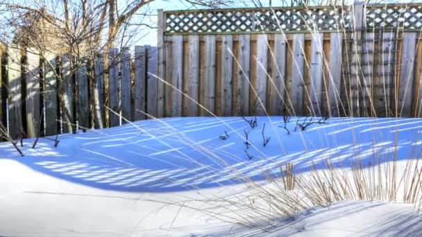 Shadows move across the snow - Metraje, vídeo