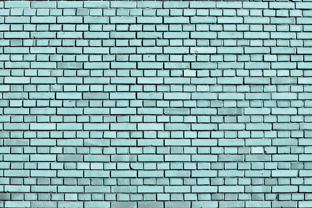 Limpet shell fondo de pared de ladrillo azul - Foto, imagen