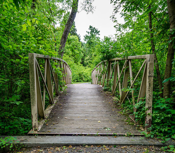 Caminhada de ponte em um parque - Foto, Imagem