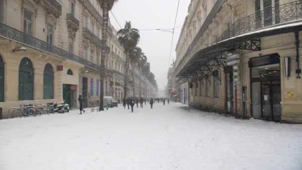 Strada con palme ricoperte di neve in Montpellier Rue de la republique - Filmati, video