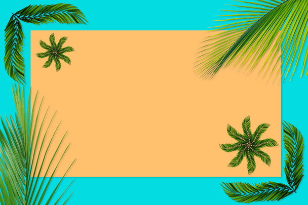 Patrón de hojas de palma verde para concepto de naturaleza, hoja tropical sobre fondo de papel naranja y verde azulado - Foto, imagen