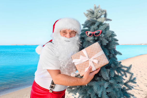 Santa Claus with Christmas tree and gift at sea resort - Photo, Image