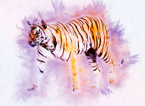 τίγρης τέχνη εικονογράφηση χρώμα vintage grunge ρετρό - Φωτογραφία, εικόνα