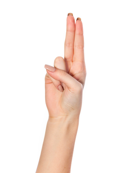 Hand gesture number four - 写真・画像