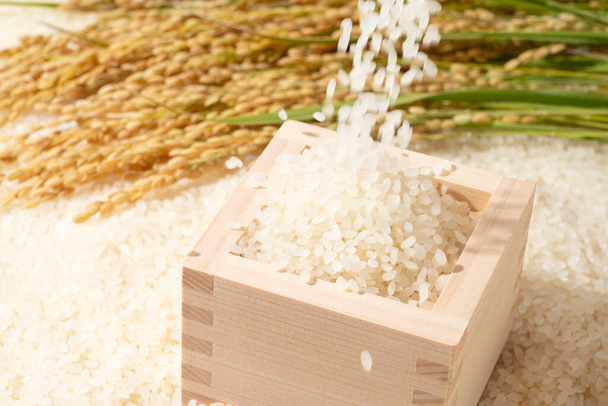 Ρίξτε το ρύζι πάνω στο άσπρο ρύζι που απλώνεται και το masu τοποθετείται εκεί - Φωτογραφία, εικόνα