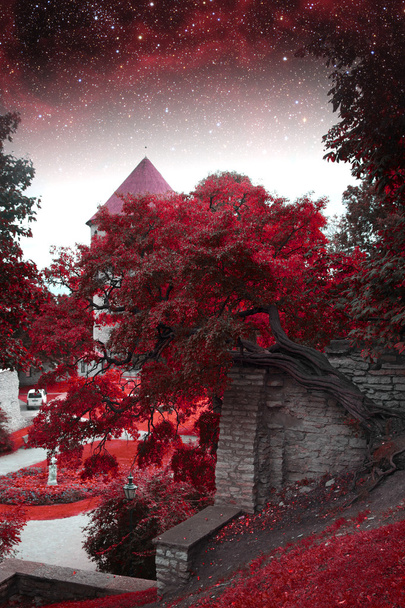 Tallinn mystická noc. prvky tohoto obrazu, které nasa - Fotografie, Obrázek