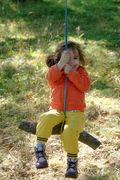 Little kid girl on primitive hand made swing on autumn park - Photo, Image