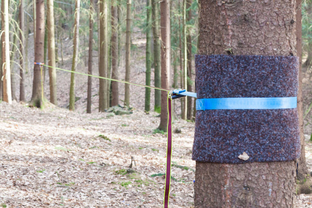 Equipment for slackline Slackline sling next to the machine and protection for the tree. stretched colored slackline in the autumn forest Sports a tightrope or slackline outdoor in a city park. - Photo, Image