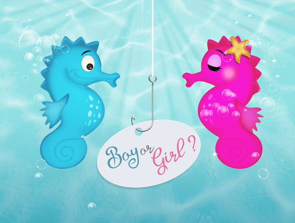 Gender reveal party invitation template with seahorses male and female - Fotoğraf, Görsel