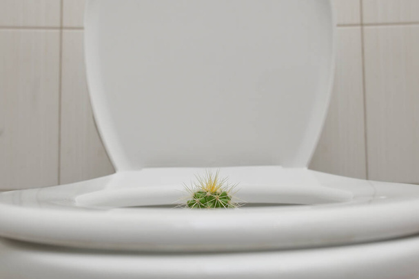 概念トイレ内のとげのあるサボテンと痔の痛み - 写真・画像