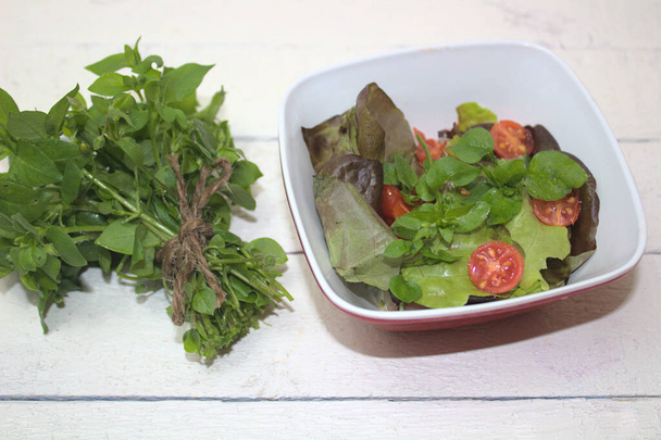 a fresh green salad with chickweed - Photo, Image