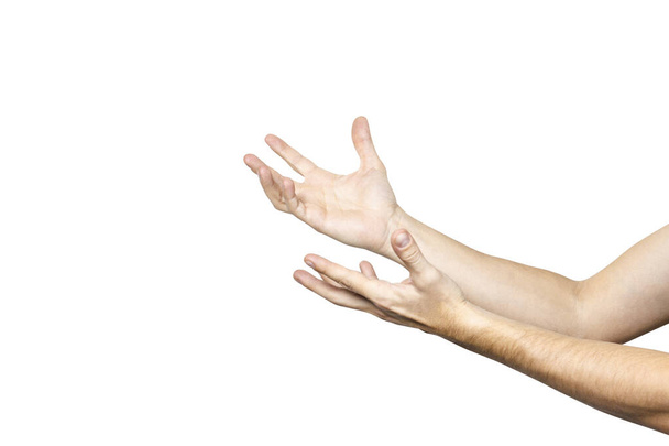leere männliche Hände, die Handflächen in die Höhe halten. Die Hände des Menschen fangen einen unsichtbaren Gegenstand auf hellem Hintergrund ein. Geste der Hand. - Foto, Bild