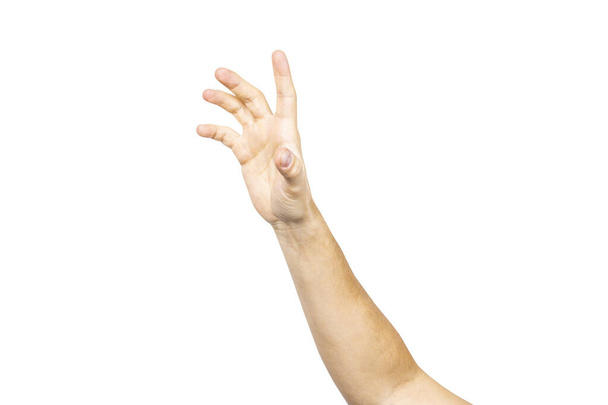mano maschile vuota che tiene su i palmi delle mani. La mano dell'uomo cattura un oggetto invisibile su uno sfondo chiaro. Gesto della mano. - Foto, immagini