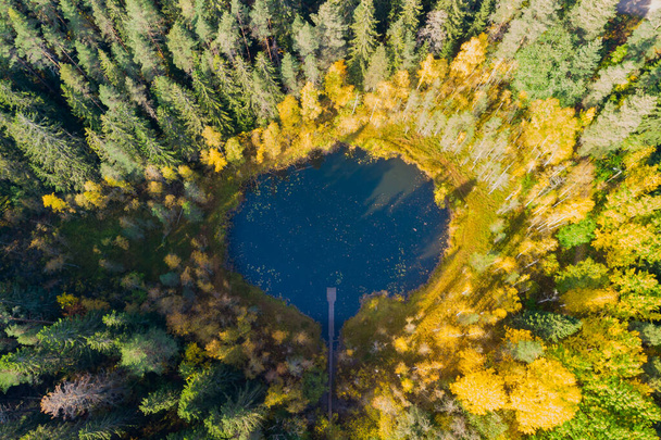 フィンランドのラハティにある小さな森の湖Haransilmaの空中ビュー。湖の直径は約50メートル。. - 写真・画像
