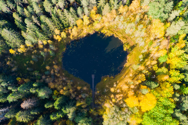 Vista aérea del pequeño lago del bosque Haransilma en Lahti, Finlandia. El diámetro del lago es de unos 50 metros. - Foto, imagen