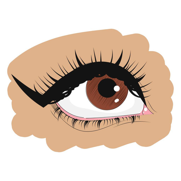 Brown eye on a white background. Woman's eye. Eye makeup. Graphics. Icon, logo. Isolated vector illustration. - Vector, Image