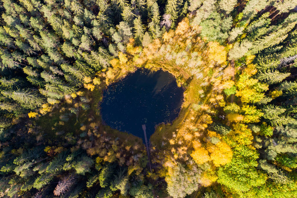 フィンランドのラハティにある小さな森の湖Haransilmaの空中ビュー。湖の直径は約50メートル。. - 写真・画像