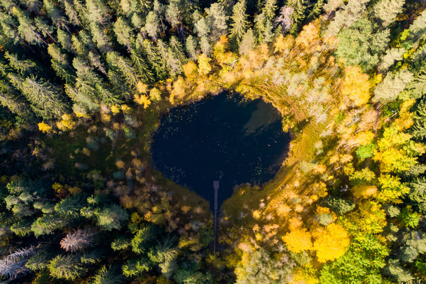 Luftaufnahme des kleinen Waldsees Haransilma in Lahti, Finnland. Der Durchmesser des Sees beträgt etwa 50 Meter. - Foto, Bild