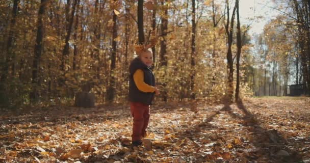 Un niño sonriente mira las hojas amarillas de otoño que caen de los árboles que están en el parque bajo el sol del atardecer. Bosque mágico, el niño se ríe y felizmente cuida la caída de las hojas de otoño. - Imágenes, Vídeo