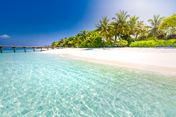 Tropical beach background ως καλοκαιρινό τοπίο με αιώρα και λευκή άμμο και ήρεμη θάλασσα για beach banner. Τέλεια παραλία σκηνή διακοπές και τις καλοκαιρινές διακοπές έννοια. Ενίσχυση της διαδικασίας χρωματισμού - Φωτογραφία, εικόνα