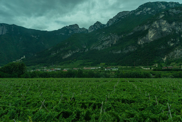 Европа, Италия, поезд Ла Фаста - Каслтелрут, большое зеленое поле с горой на заднем плане - Фото, изображение