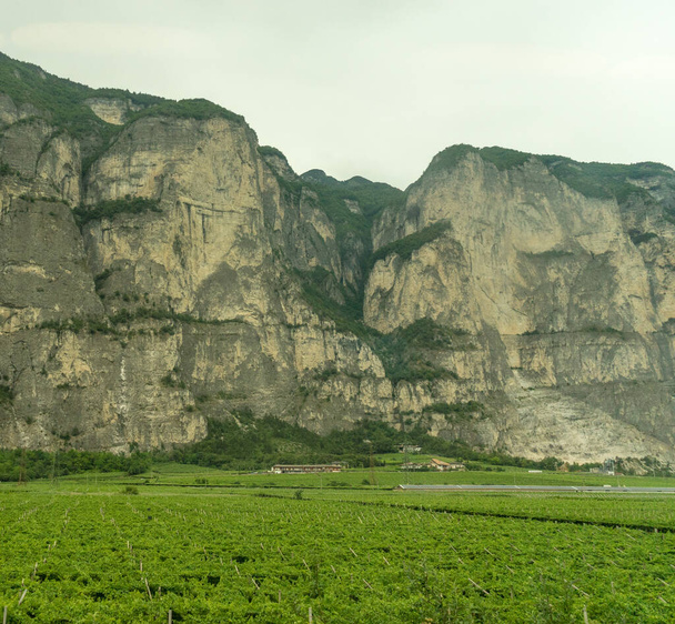 Europa, Italien, La Spezia nach Kasltelruth, eine große grüne Wiese mit einem Berg im Hintergrund - Foto, Bild